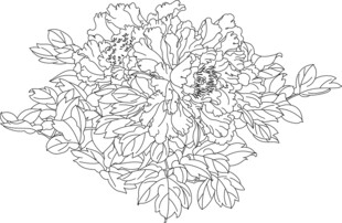 手绘花卉图案 矢量图