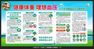 2025高血压日宣传栏