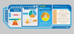 财务职业技能等级