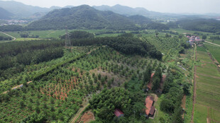 田园风光航拍图