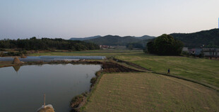 乡村田野边的宁静池塘
