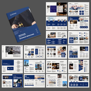 大气律师事务所画册