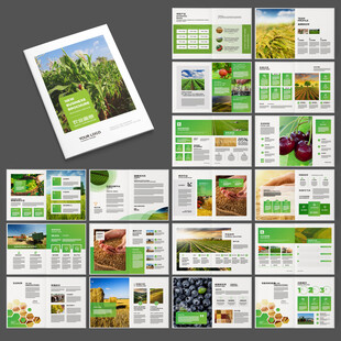 农业宣传册