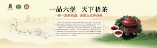 六堡茶宣传
