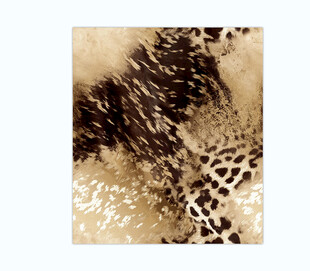 豹纹图案布料特写