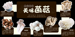 美味多样的各类蘑菇