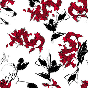 龙红黑花卉图案设计