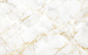 金丝白色大理石