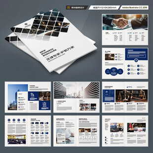 大气律师事务所画册