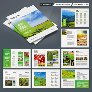 农产品宣传册