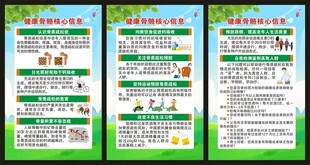 健康骨骼核心信息展板