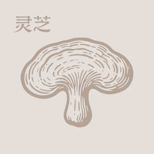 灵芝手绘素材