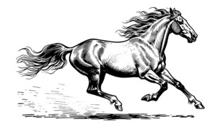 奔马骏马钢笔画