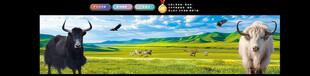 草原耗牛背景图