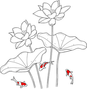 荷花锦鲤图 矢量图