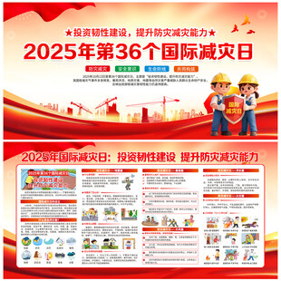 2025年国际减灾日展板