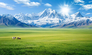 蓝天白云大草原