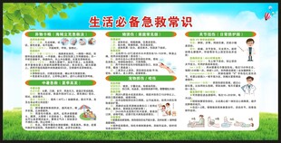 世界急救日宣传栏