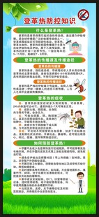 预防登革热知识展架