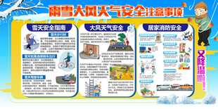 雨雪大风天气