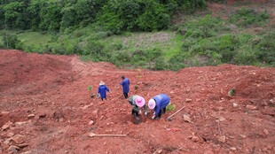 山坡上的劳作场景