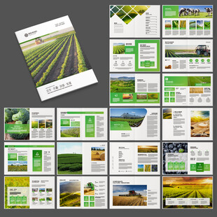 农产品画册
