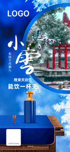 小雪白酒海报