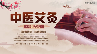 中医艾灸疗法展示