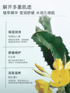 蟹爪兰养护要点介绍