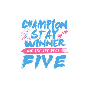 冠军风采五班班服