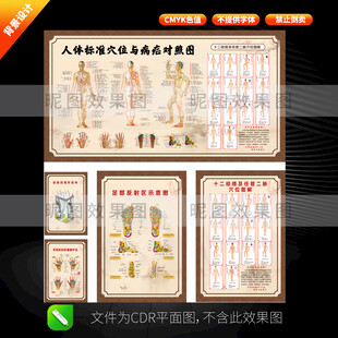 人体标准穴位图