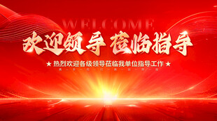 欢迎领导莅临指导背景图