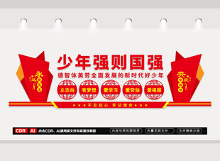 少年强则国强少先队文化墙