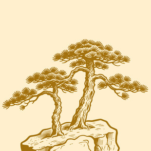 水墨风长寿松树手绘线稿