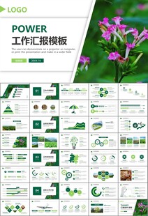 中国烟草行业工作总结汇报PPT