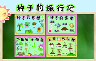 种子的旅行记科普插画