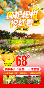 摘耙耙柑挖红薯摘菜 