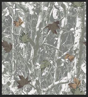 枯树  热带树 枫叶