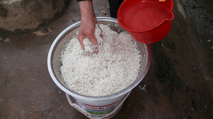 手往桶中倒白色粉末