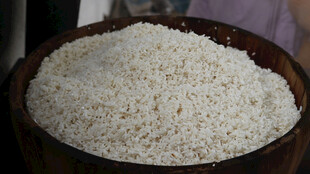 木盆中的优质白糯米