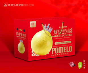 柚子包装 蜜柚礼盒