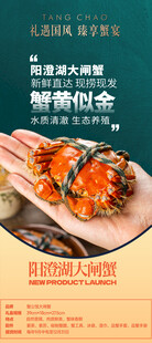 大闸蟹图片
