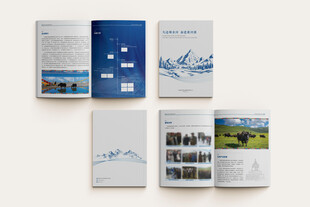 企业宣传册设计