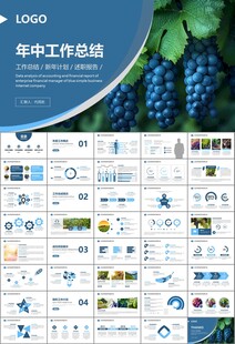 葡萄庄园新疆葡萄葡萄酒PPT