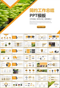 葡萄庄园新疆葡萄葡萄酒PPT