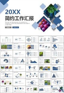 葡萄庄园新疆葡萄葡萄酒PPT