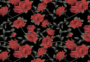 黑色底红色花卉图案