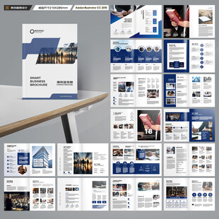 大气律师事务所画册