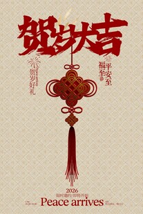 贺岁大吉新年节日活动海报