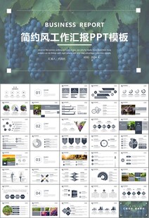 葡萄庄园新疆葡萄葡萄酒PPT